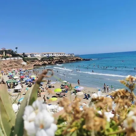 Oasis Of Sunshine Οριουέλα