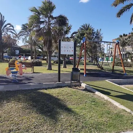Oasis Of Sunshine Orihuela